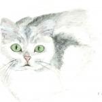 Regard de Yanis 2011