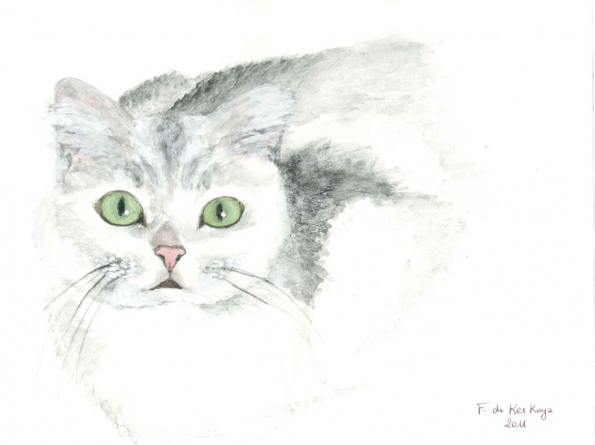 Regard de Yanis 2011