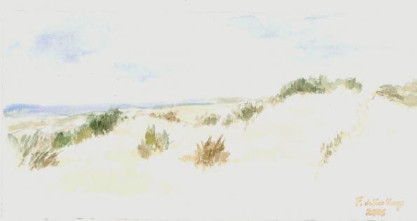 Dunes imaginaires 2005