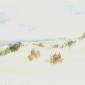 Dunes imaginaires 2005
