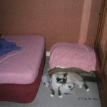 Kaya Draco et Douce Ardoise