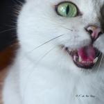 Yanis singing with me