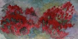 Sélection Cinéma Videos