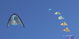 Sélection Arts Danse - Cirque - Spectacle