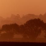 Brume au lever du soleil