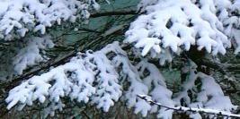 Noir Blanc Unicolore