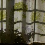 Curtains IV