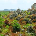 Improbable maquette crayeuse