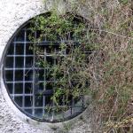 Bois des Moutiers (18) Avril 2012