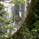 Bois des Moutiers (43) avril 2012