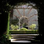 Bois des Moutiers (47) avril 2012