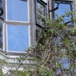 Le Bois des Moutiers (8) avril 2012