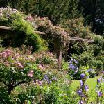 Bois des Moutiers (10) Summer 2012