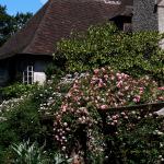 Bois des Moutiers (11) Summer 2012