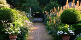 Bois des Moutiers - Eté - De lumières et d'ombres