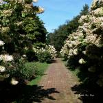 Bois des Moutiers  (32) Summer 2012