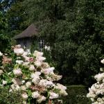 Bois des Moutiers  (33) Summer 2012