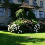 Bois des Moutiers  (42) Summer 2012