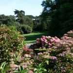 Bois des Moutiers  (46) Summer 2012