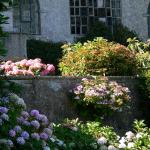 Bois des Moutiers  (48) Summer 2012