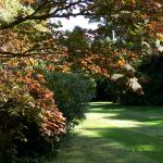 Bois des Moutiers  (50) Summer 2012