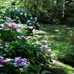 Bois des Moutiers  (71) Summer 2012