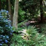 Bois des Moutiers  (76) Summer 2012