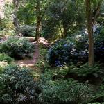 Bois des Moutiers  (85) Summer 2012