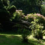 Bois des Moutiers  (91) Summer 2012