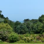 Le Bois le ciel la mer