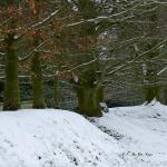 Bois des Moutiers Winterreise (11)