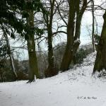 Bois des Moutiers Winterreise (18)
