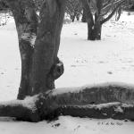 Bois des Moutiers Winterreise (24b)