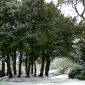 Bois des Moutiers Winterreise (3)