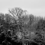 Bois des Moutiers Winterreise (38)