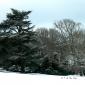 Bois des Moutiers Winterreise (39)