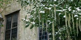 Bois des Moutiers - Winterreise