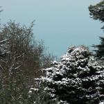 Bois des Moutiers Winterreise (45)