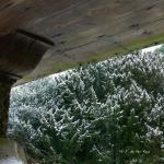 Bois des Moutiers Winterreise (46)