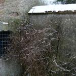 Bois des Moutiers Winterreise (47)