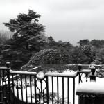 Bois des Moutiers Winterreise (52)