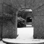 Bois des Moutiers Winterreise (53)