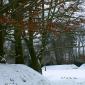Bois des Moutiers Winterreise (8)
