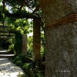 Bois des moutiers fall 2012 (80)