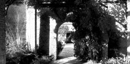 Bois des Moutiers - Chant d'Automne