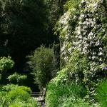 Bois des Moutiers (268) Mai 2012