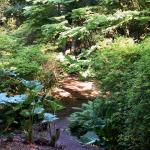 Bois des Moutiers (54) Juin 2012