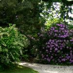 Bois des Moutiers (11) Juin 2012