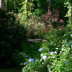 Bois des Moutiers (35) Juin 2012