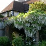 Bois des Moutiers (67) Juin 2012